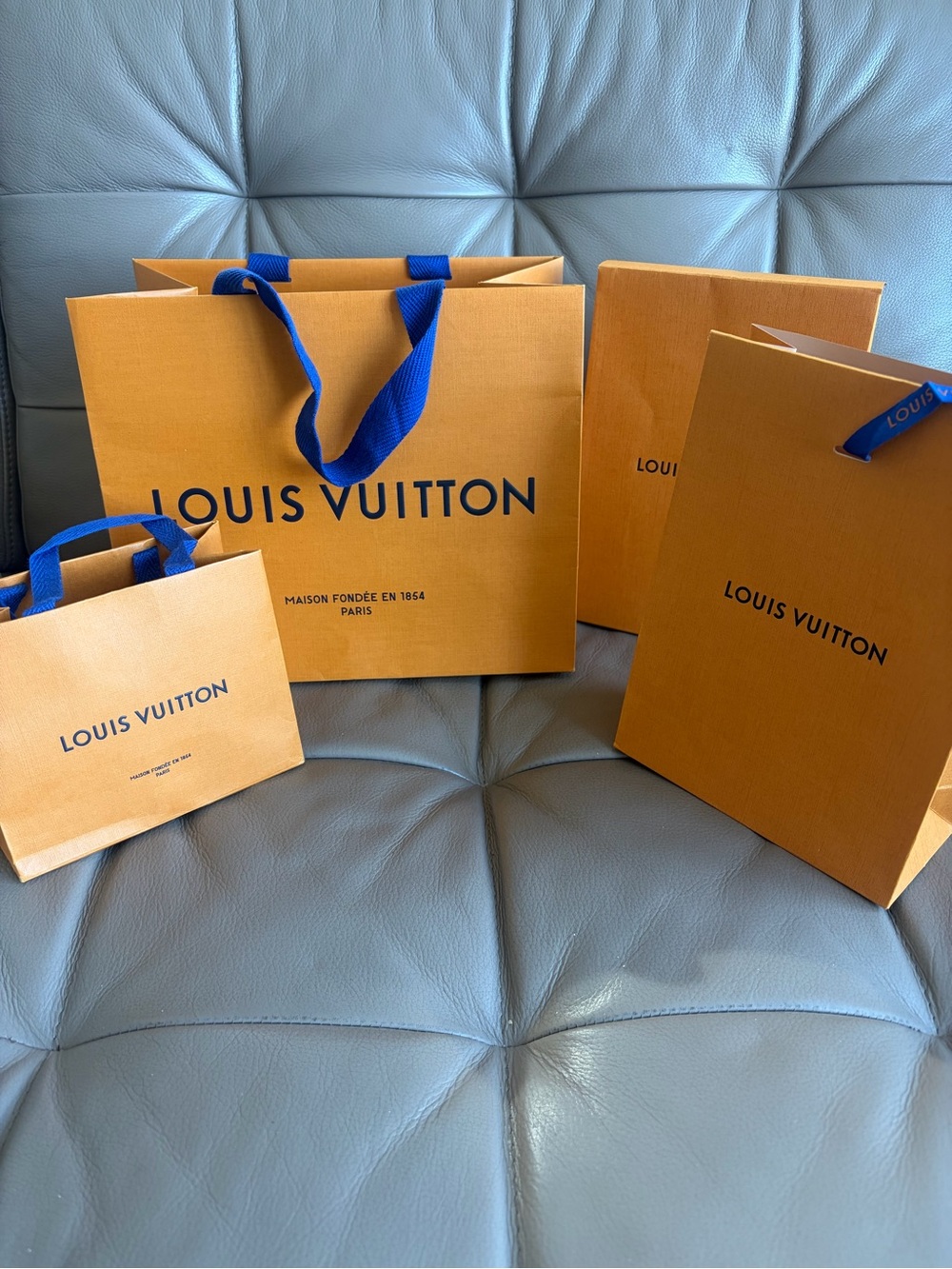 Louis Vuitton Set of 4 Shopping Gift Bags Various Sizes
